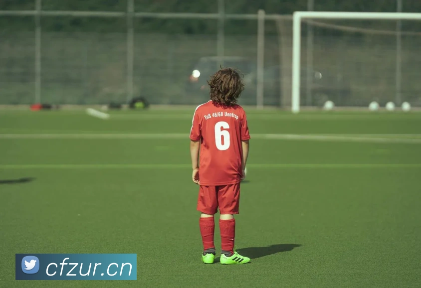 星空体育官方链接发展历程